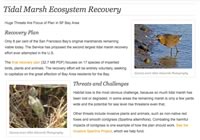 Baylands Ecosystem Habitat Goals Report